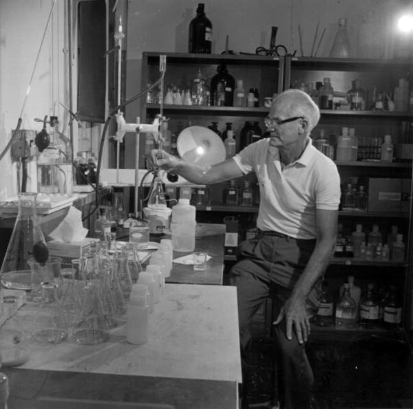 Scientific research at Bayboro Harbor, St. Petersburg, circa 1900