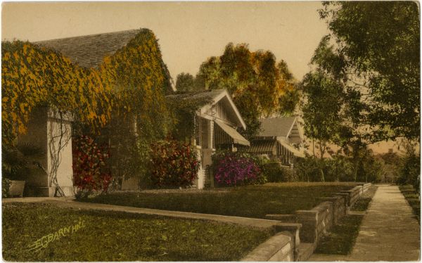 Homes near Roser Park in St. Petersburg, circa 1900